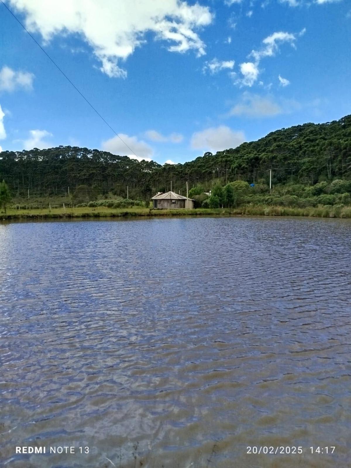 Encanto Das Araucarias Cambará Exterior foto